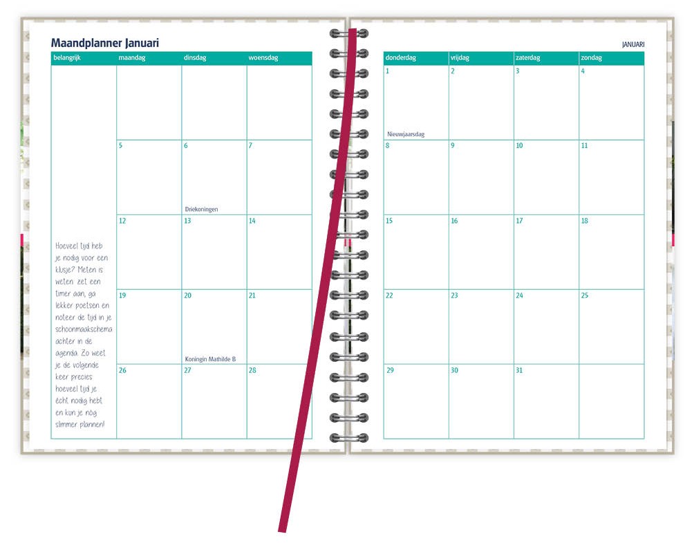 De Organizing Agenda 2026 maandplanner