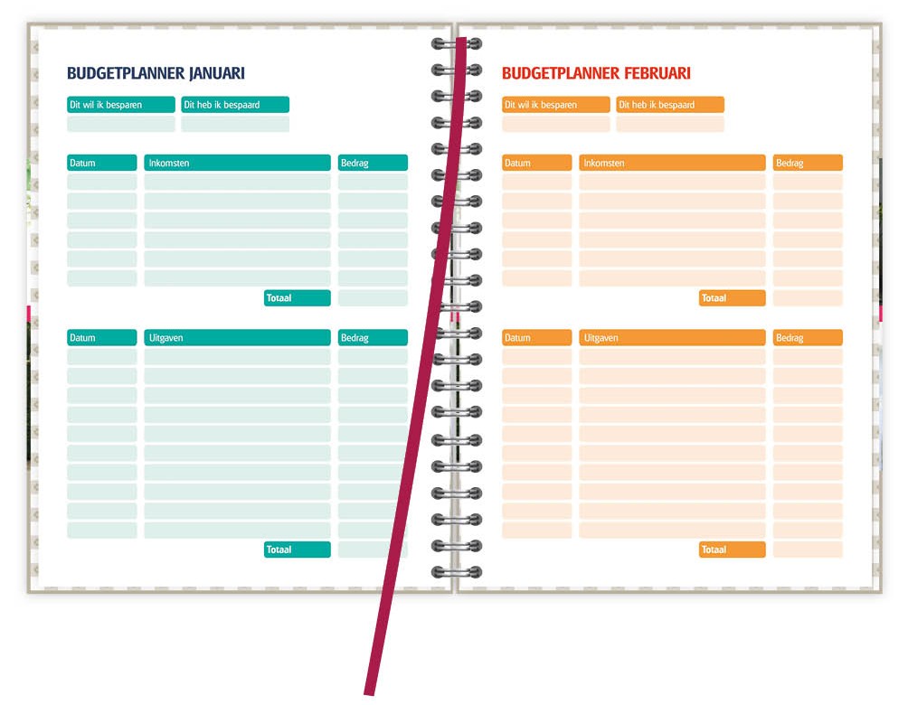 De Organizing Agenda 2026 budgetplanner